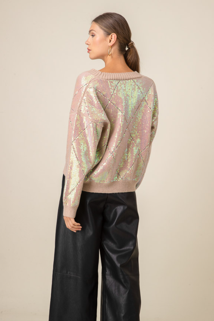 Zara sequin argyle top sweater